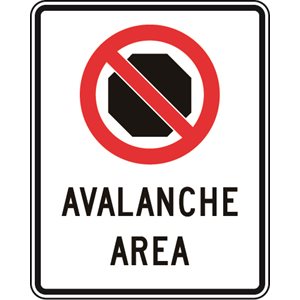 No Stopping c / w Avalanche Area